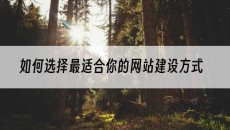 如何选择*适合你的方式-网站建设