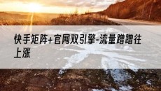 新疆快手矩阵+官网双引擎-流量蹭蹭往上涨-网站建设推广