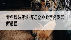 -开启企业数字化发展新征程-专业网站建设