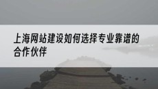 上海网站建设如何选择专业靠谱的合作伙伴-网站建设公司