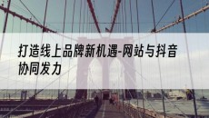新疆打造线上品牌新机遇-网站与抖音协同发力-网站建设推广