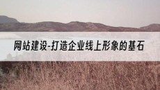 -打造企业线上形象的基石-网站建设