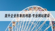 提升企业形象的利器-专业-网站建设