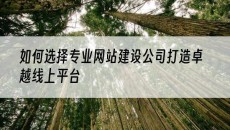 如何选择专业打造卓越线上平台-网站建设公司