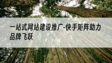 新疆一站式-快手矩阵助力品牌飞跃-网站建设推广