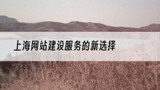 上海服务的新选择-网站建设