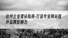 徐州指南-打造专业网站提升品牌影响力-企业建站