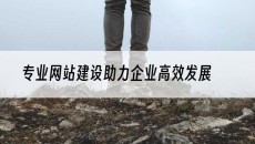 助力企业*发展-专业网站建设