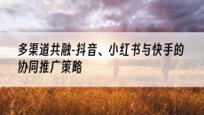 新疆多渠道共融-抖音、小红书与快手的协同推广策略-抖音矩阵推广