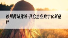 徐州-开启企业数字化新征程-网站建设