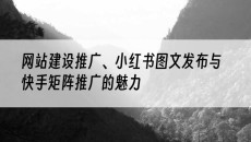 北京、小红书图文发布与快手矩阵推广的魅力-网站建设推广