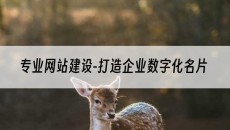 专业-打造企业数字化名片-网站建设