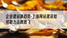 新趋势-上海网站建设如何助力品牌腾飞-企业建站