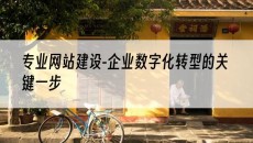 -企业数字化转型的关键一步-专业网站建设