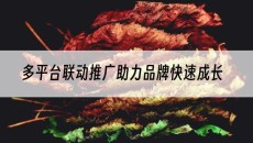 北京多平台联动推广助力品牌快速成长-网站建设推广