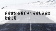 -轻松自主与专业打造*融合之道-企业建站