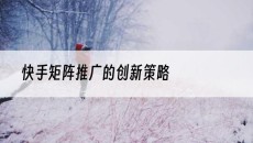 北京的创新策略-快手矩阵推广
