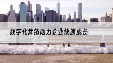 北京数字化营销助力企业快速成长-网站建设推广
