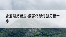 企业-数字化时代的关键一步-网站建设