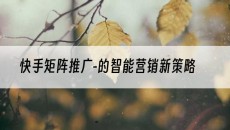 北京-的智能营销新策略-快手矩阵推广
