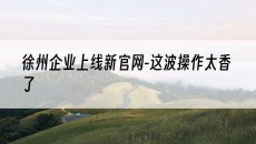 徐州企业上线新官网-这波操作太香了-徐州网站建设