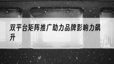 北京双平台矩阵推广助力品牌影响力飙升-抖音矩阵推广