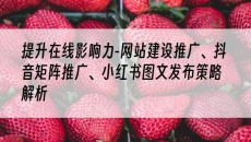 北京提升在线影响力-、抖音矩阵推广、小红书图文发布策略解析-网站建设推广