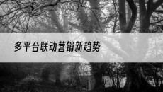 北京多平台联动营销新趋势-抖音矩阵推广