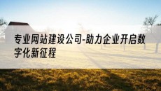专业-助力企业开启数字化新征程-网站建设公司