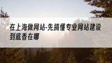 在上海做网站-先搞懂到底香在哪-专业网站建设