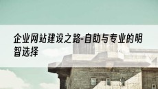 企业之路-自助与专业的明智选择-网站建设
