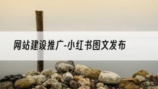 -小红书图文发布-网站建设推广