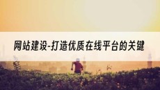 -打造优质在线平台的关键-网站建设