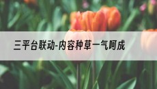 三平台联动-内容种草一气呵成-抖音矩阵推广