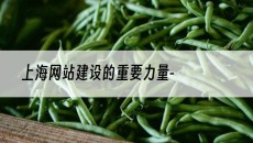 上海网站建设的重要力量--网站建设公司