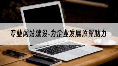 专业-为企业发展添翼助力-网站建设