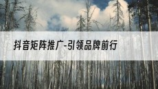 北京-引领品牌前行-抖音矩阵推广