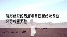 的热潮与自助建站及专业公司的重要性-网站建设