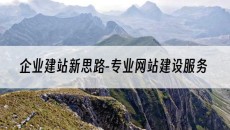 新思路-专业网站建设服务-企业建站